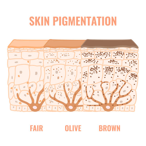 skin pigmentation steps